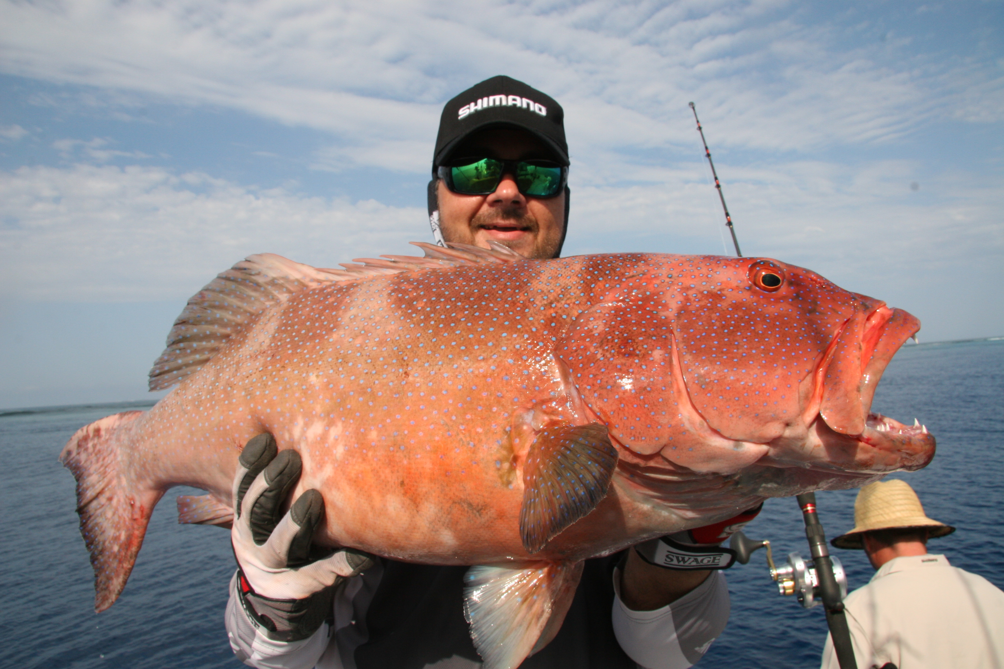 couple-massive-coral-trout-my-pb-s-fishing-fishwrecked